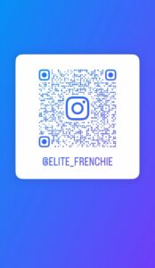 QR Instagram @elite_frenchie